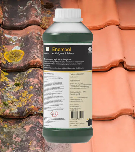 Enercool  Sunprotect : la peinture blanche toiture